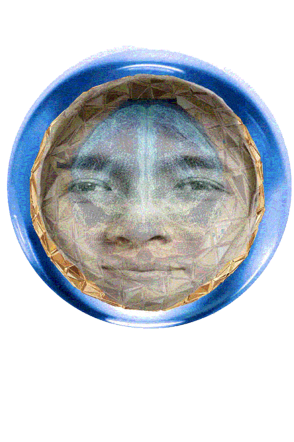 WA icon